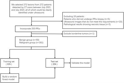 Diagnosis of benign and malignant peripheral lung lesions based on a feature model constructed by the random forest algorithm for grayscale and contrast-enhanced ultrasound